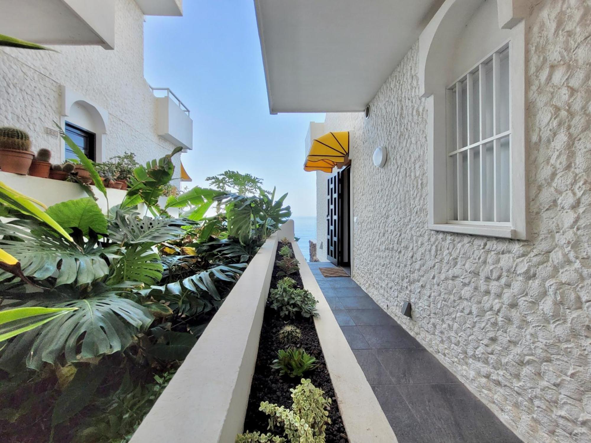 Bellavista Mar Puerto de la Cruz (Tenerife) Exterior foto